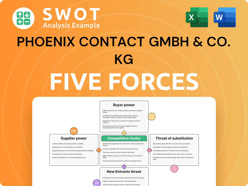 Phoenix Contact GmbH & Co. KG Porter's Five Forces Analysis