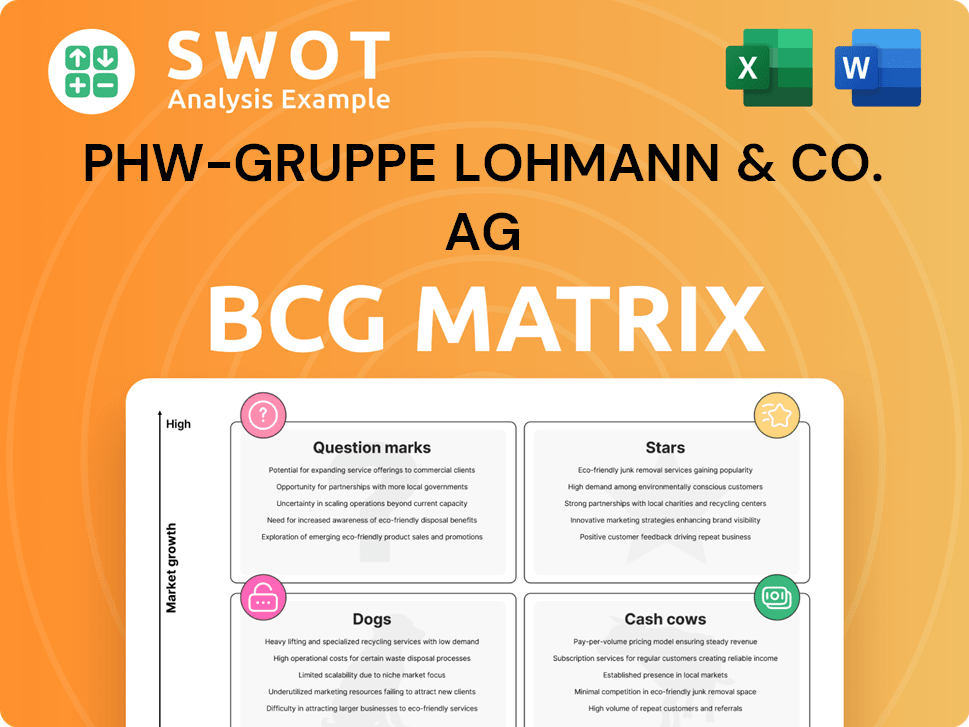 PHW-Gruppe LOHMANN & CO. AG  Boston Consulting Group Matrix