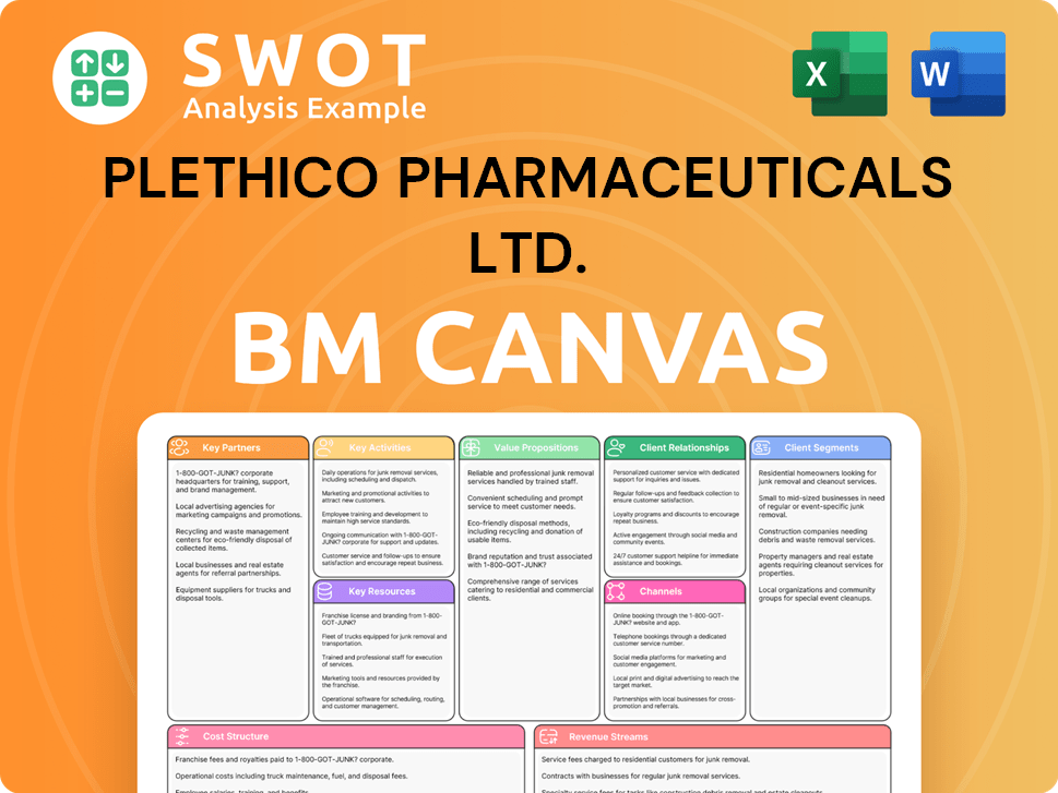 plethico-business-model-canvas