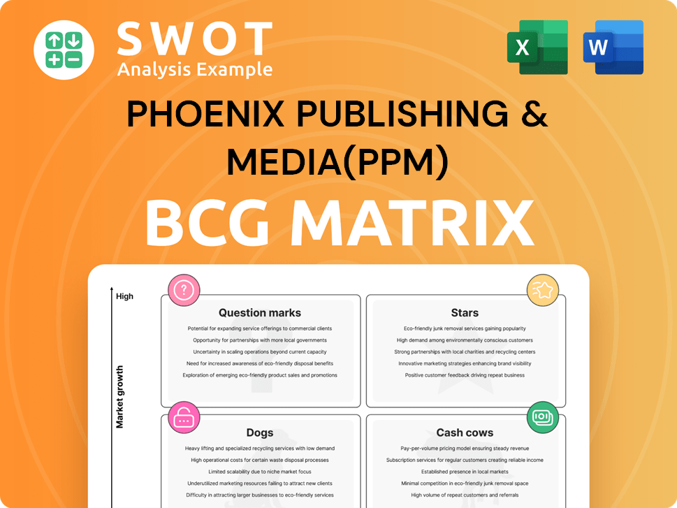 Phoenix Publishing & Media(PPM) Boston Consulting Group Matrix
