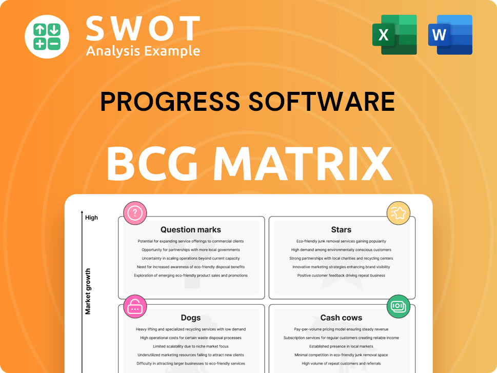 Progress Software Boston Consulting Group Matrix