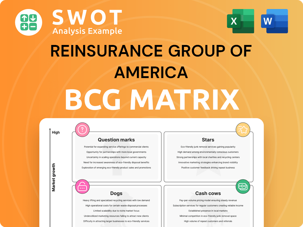Reinsurance Group of America Boston Consulting Group Matrix