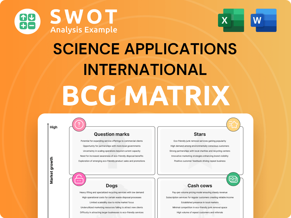 Science Applications International Boston Consulting Group Matrix