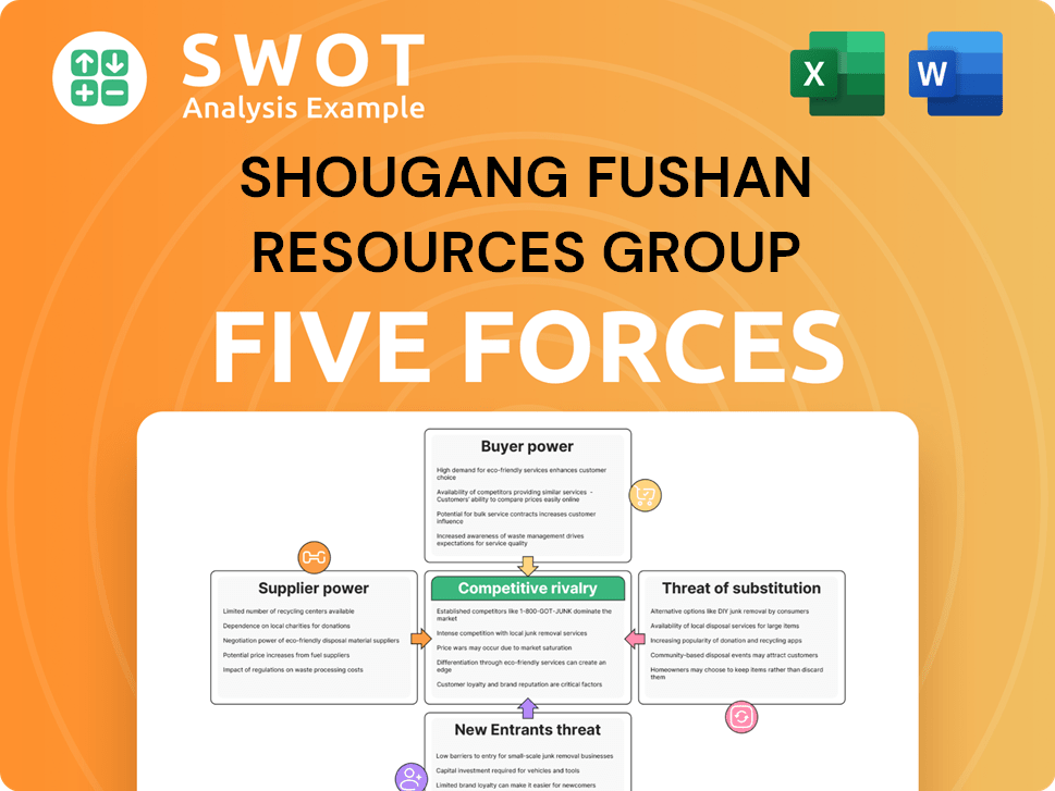 Shougang Fushan Resources Group Porter's Five Forces Analysis