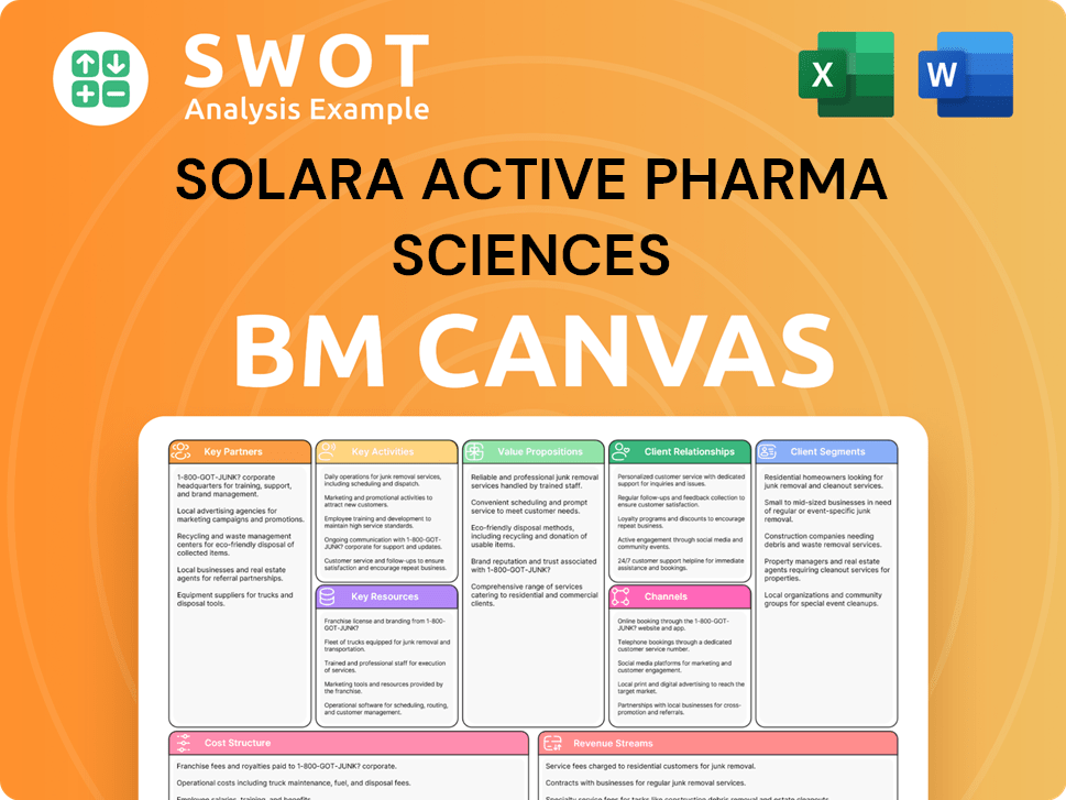 solara-business-model-canvas