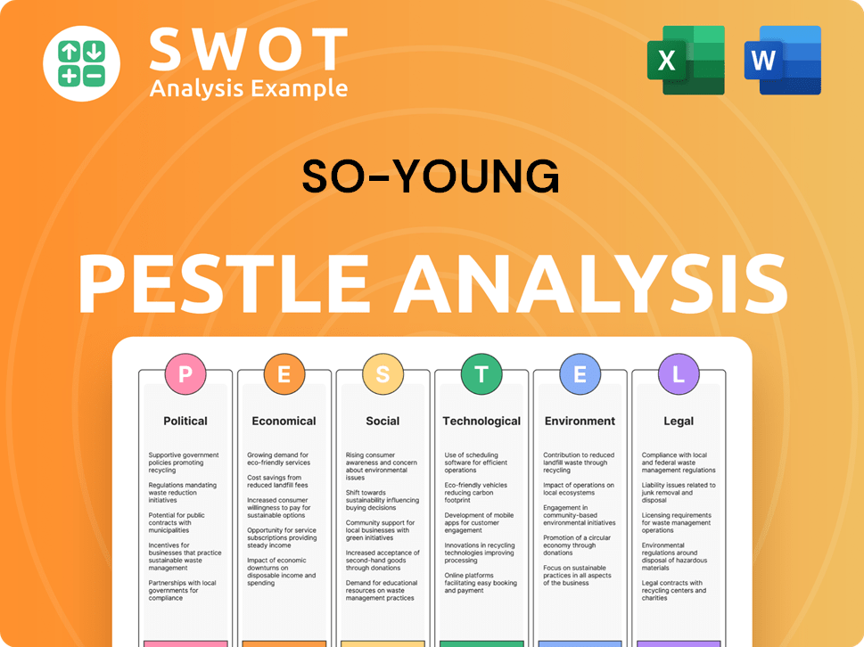 So-Young PESTLE Analysis