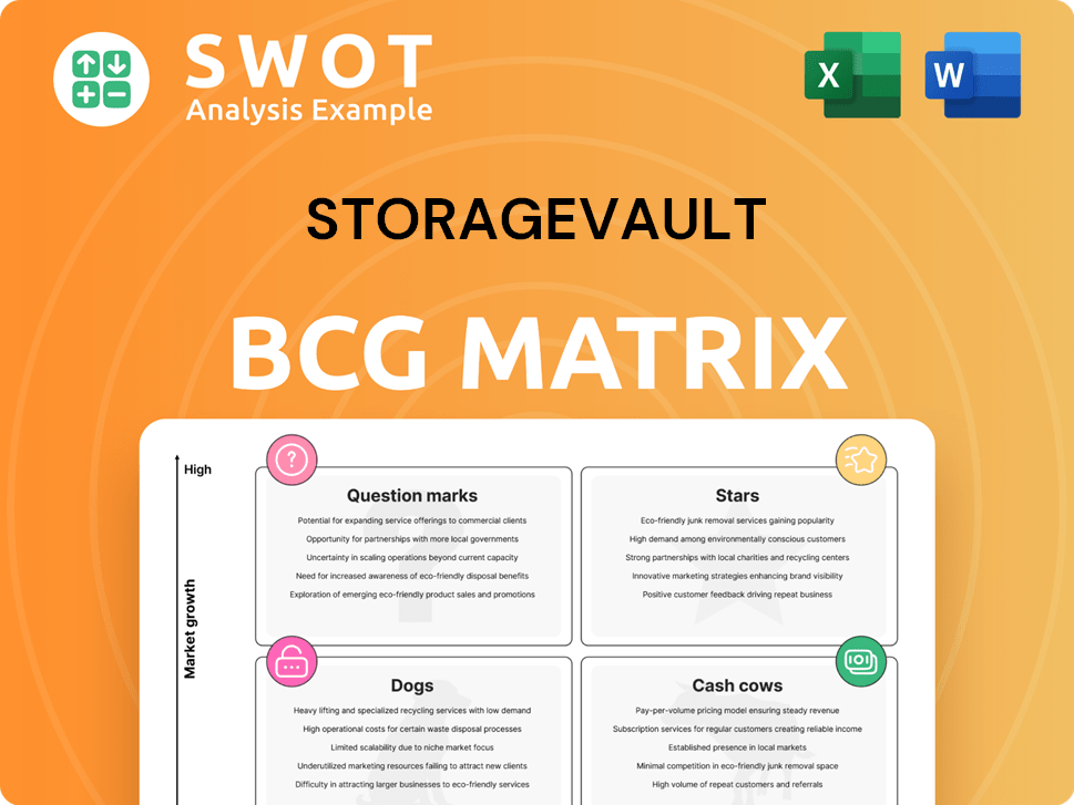 StorageVault Boston Consulting Group Matrix
