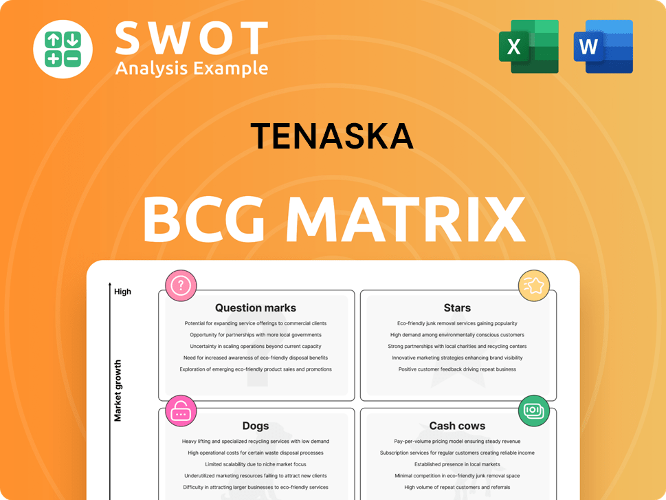 Tenaska Boston Consulting Group Matrix