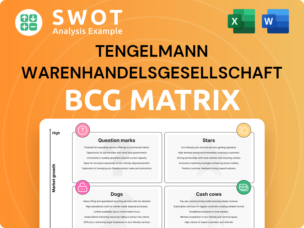 Tengelmann Warenhandelsgesellschaft KG Boston Consulting Group Matrix