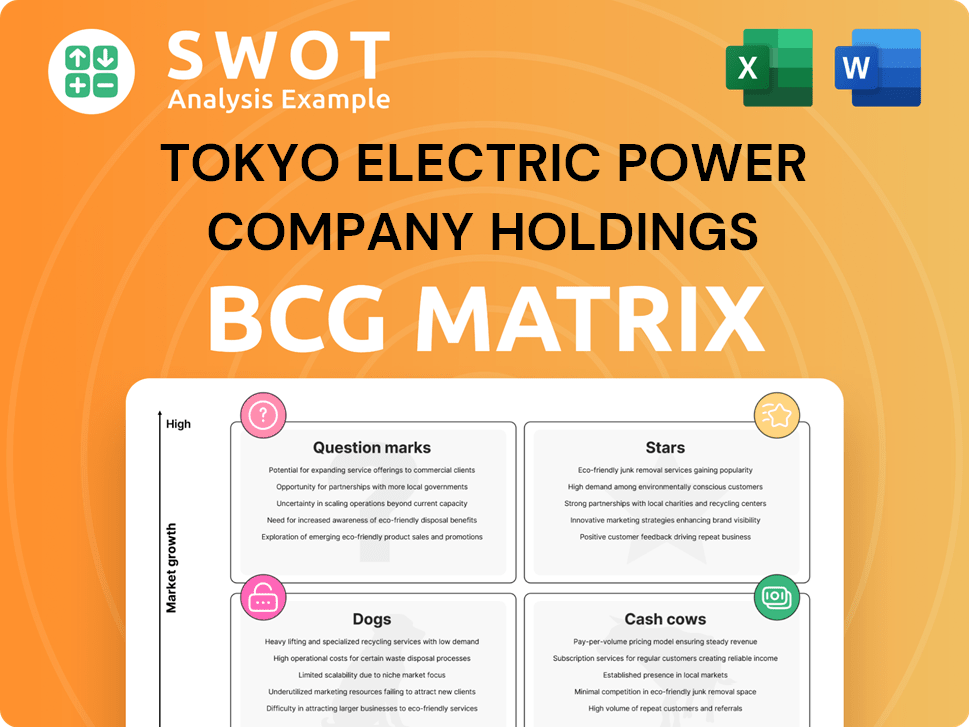 Tokyo Electric Power Company Holdings Boston Consulting Group Matrix