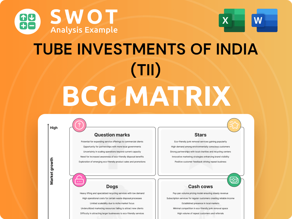 Tube Investments of India (TII) Boston Consulting Group Matrix