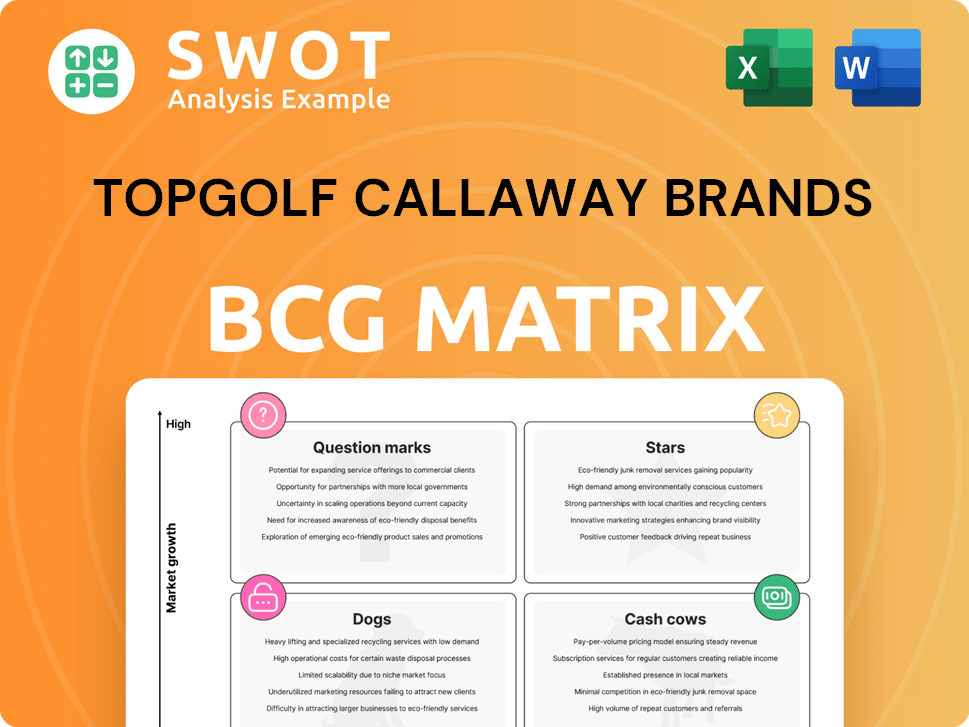 Topgolf Callaway Brands Boston Consulting Group Matrix