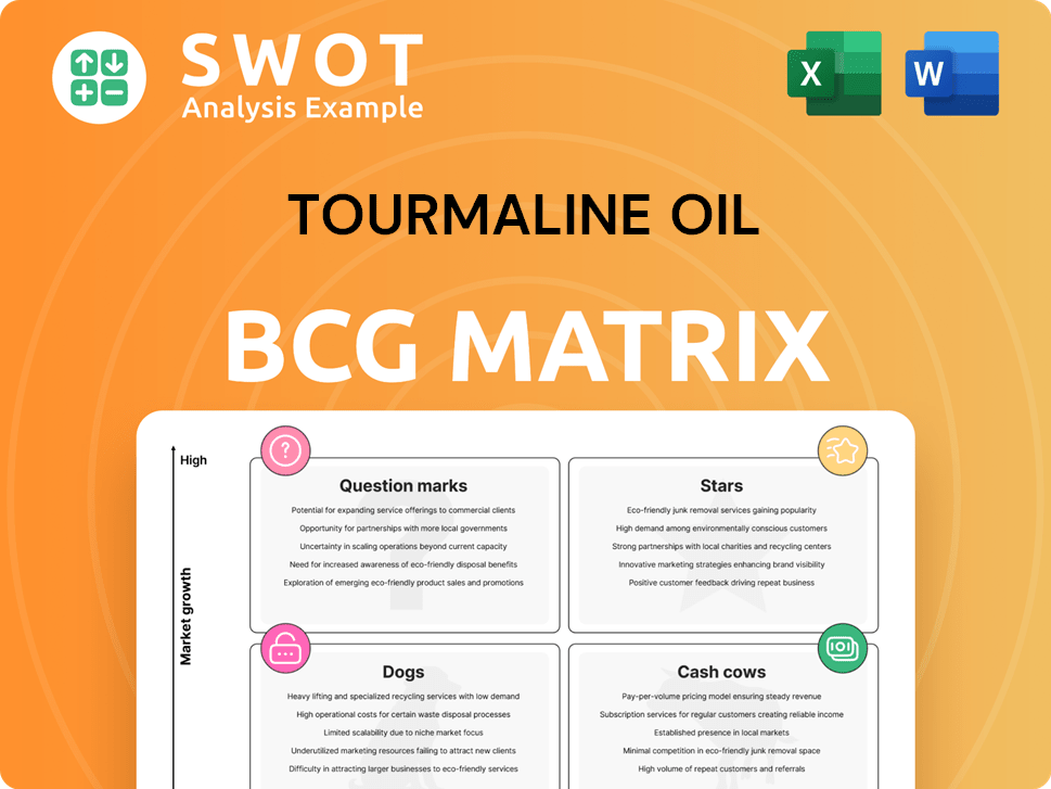 Tourmaline Oil Boston Consulting Group Matrix