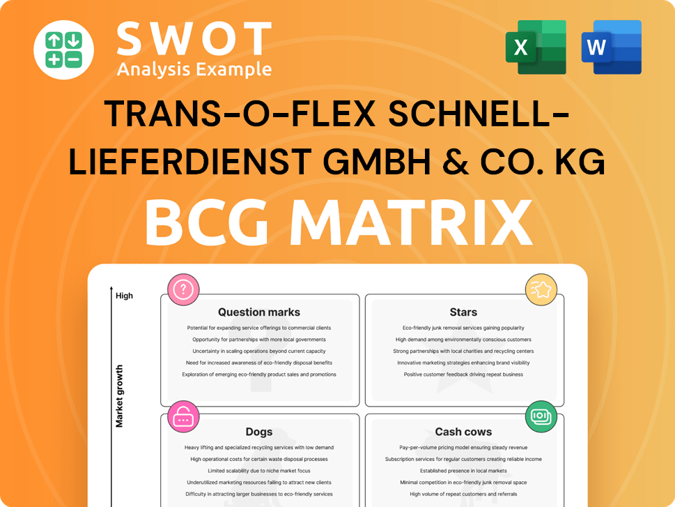 trans-o-flex Schnell-Lieferdienst GmbH & Co. KG Boston Consulting Group Matrix