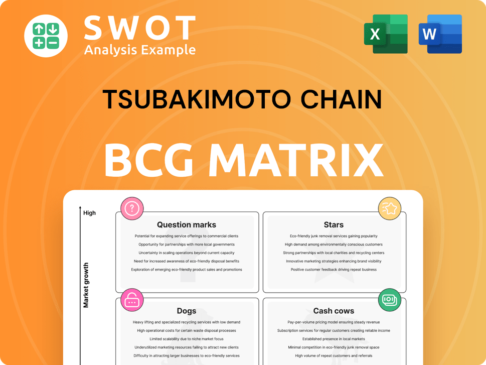 Tsubakimoto Chain Boston Consulting Group Matrix
