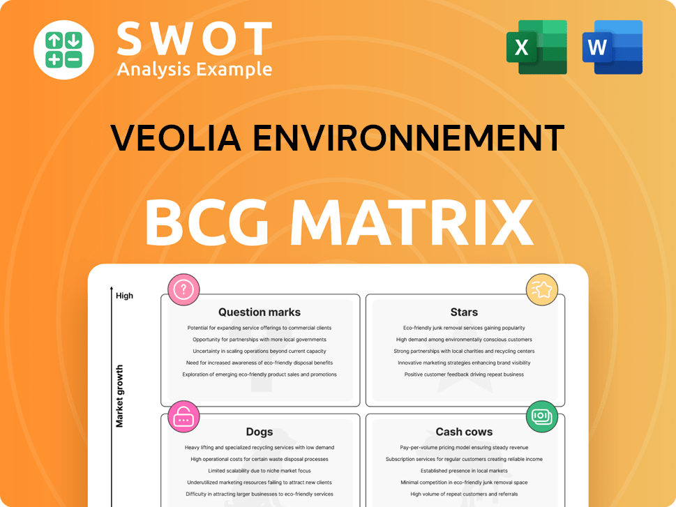 Veolia Environnement Boston Consulting Group Matrix