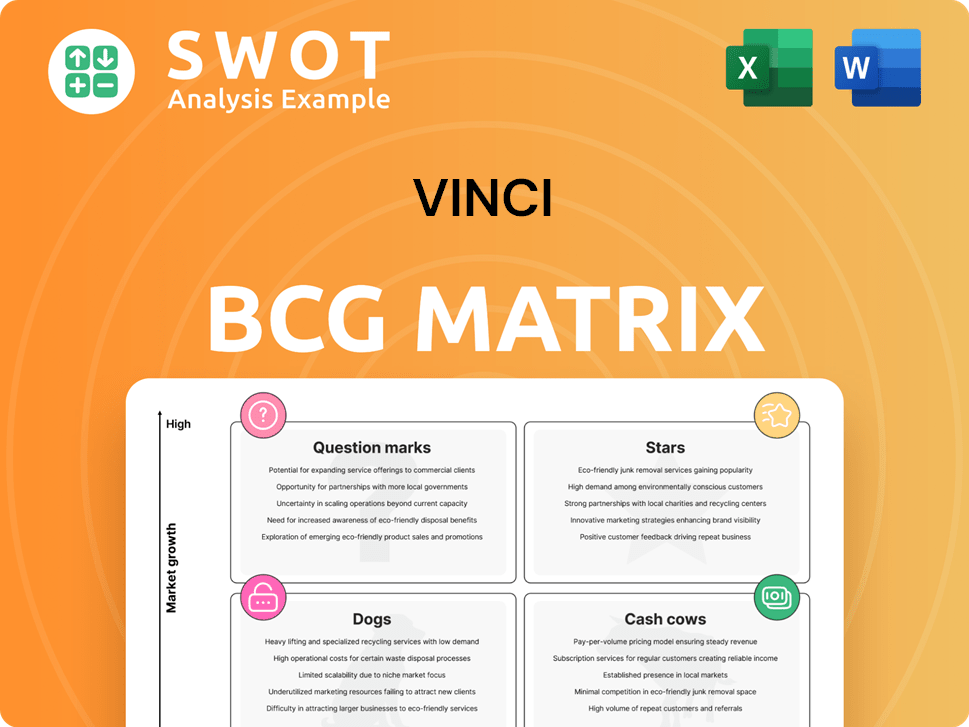VINCI Boston Consulting Group Matrix