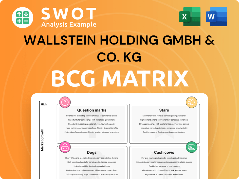 Wallstein Holding GmbH & Co. KG Boston Consulting Group Matrix
