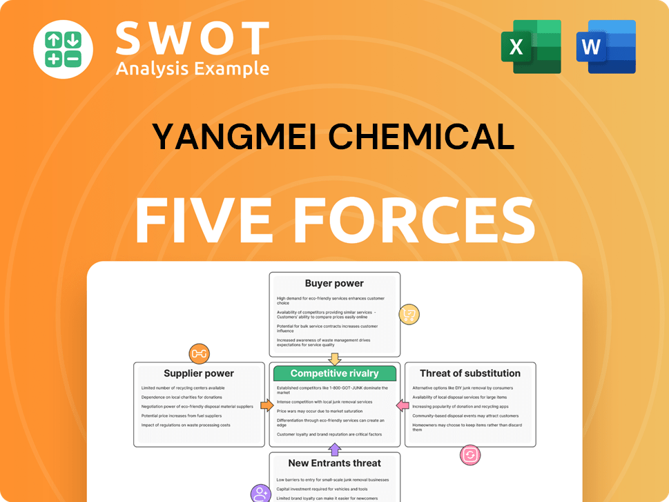 Yangmei Chemical Porter's Five Forces Analysis